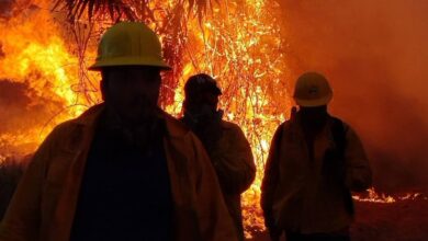 Tacámbaro, Michoacán, Incendio forestal, Brigadistas, Fallecimiento