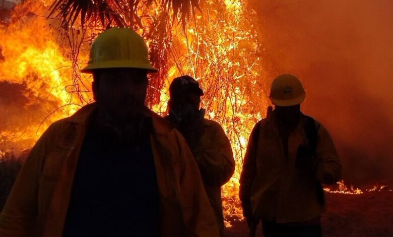 Tacámbaro, Michoacán, Incendio forestal, Brigadistas, Fallecimiento