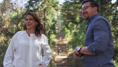 Fabiola Alanís, Congreso de Michoacán