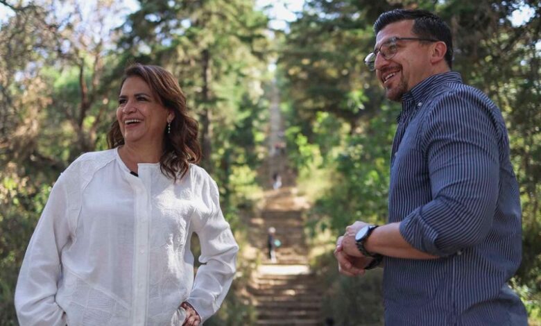 Fabiola Alanís, Congreso de Michoacán