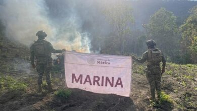 Infantería de Marina, Michoacán, Narcotráfico