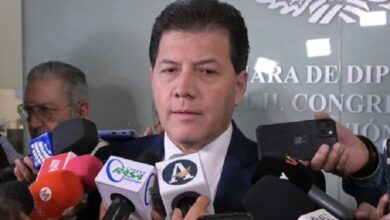 reforma electoral, Cámara de Diputados