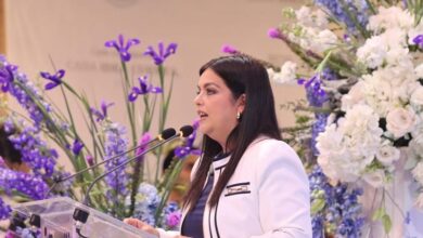 Tere Herrera, Congreso de Michoacán
