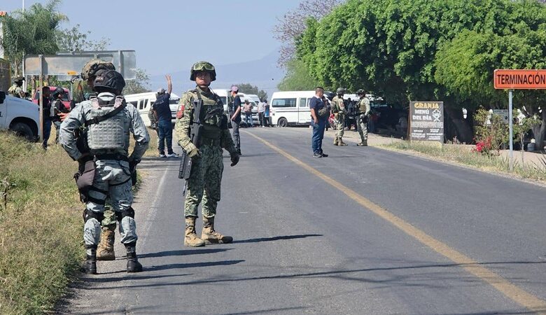 Liberan vialidad