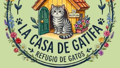 La Casa de Gatifa