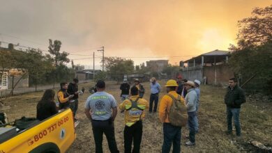 Huetamo, Incendio forestal
