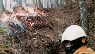 Tzitzio, Incendio forestal, Protección Civil