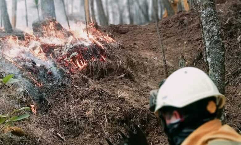 Tzitzio, Incendio forestal, Protección Civil