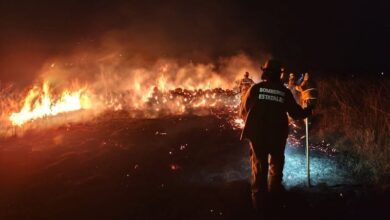 Incendio forestal