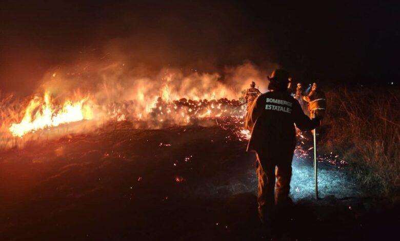 Incendio forestal