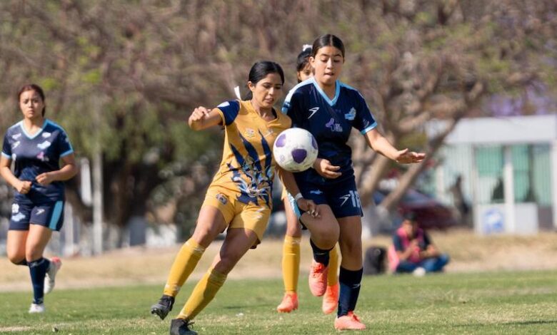 UMSNH, Fútbol femenil
