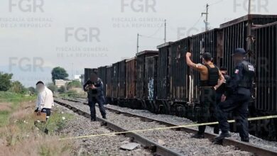 Vagones del tren