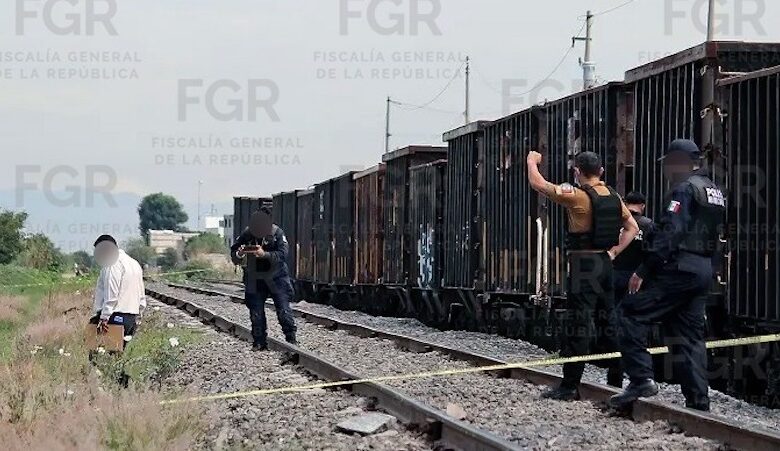 Vagones del tren