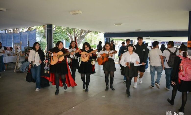 Tequios, UMSNH