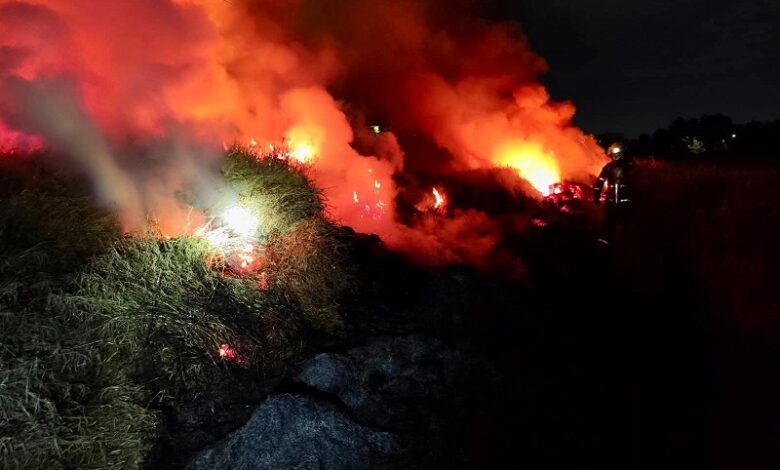 Morelia, Incendio Forestal