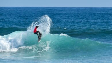 Surfista