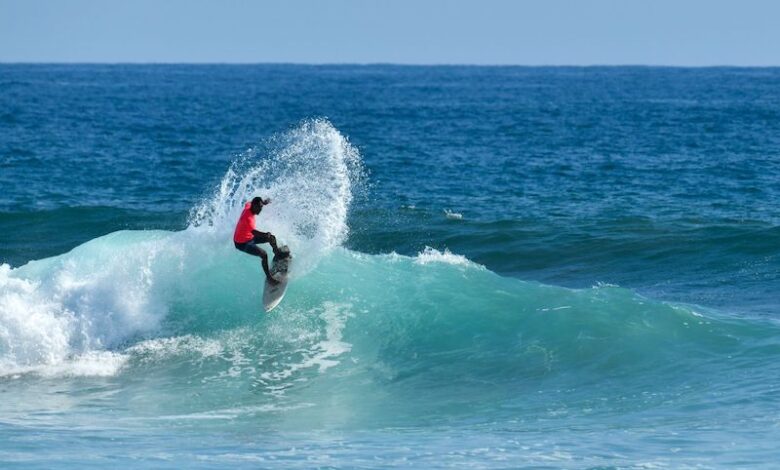 Surfista