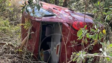 Michoacán, Accidente Vehicular