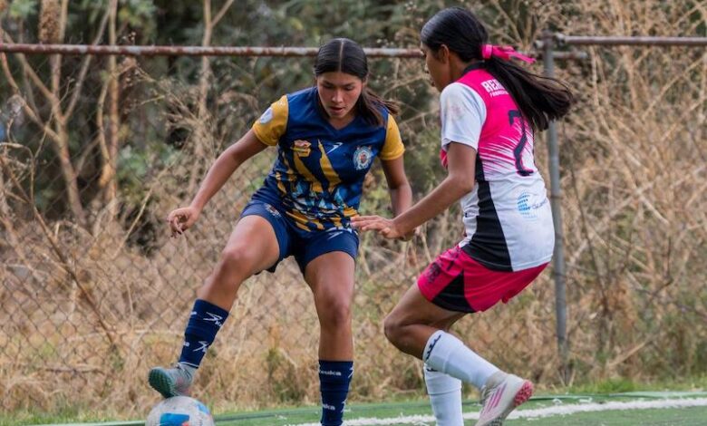 UMSNH, fútbol femenil