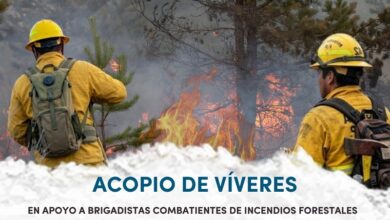 incendios forestales, Morelia