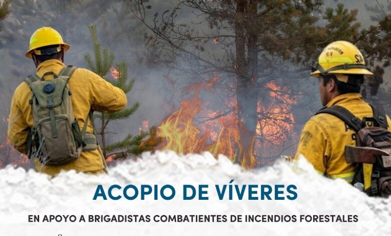 incendios forestales, Morelia