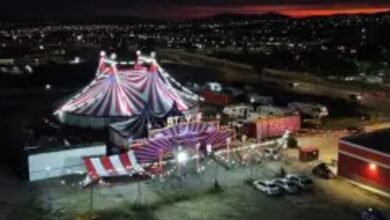 Querétaro, Circo