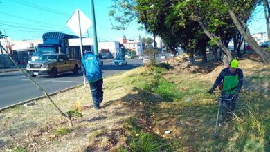 Morelia, Servicios Públicos