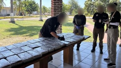Sedena, Semar, Narcotráfico, Decomiso