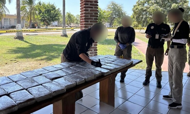 Sedena, Semar, Narcotráfico, Decomiso