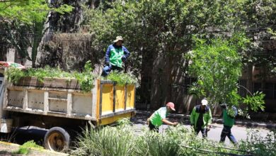 Ayuntamiento de Morelia, Servicios Públicos