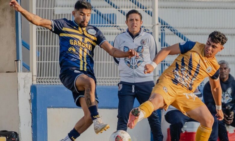 UMSN, torneo