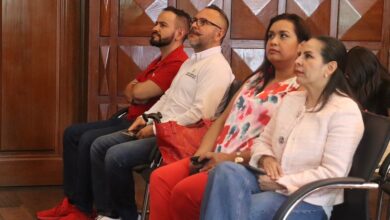Cine, Sectur