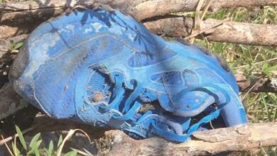 Tenis en fosa clandestina