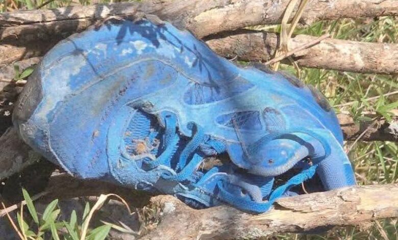 Tenis en fosa clandestina