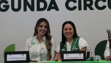 PVEM, Karen Castrejón, San Luis Potosí, elecciones 2027