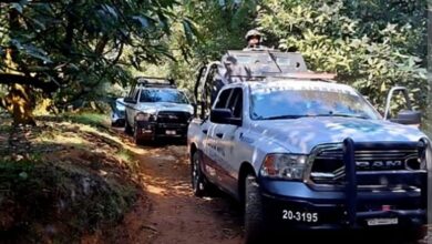 Seguridad, Uruapan