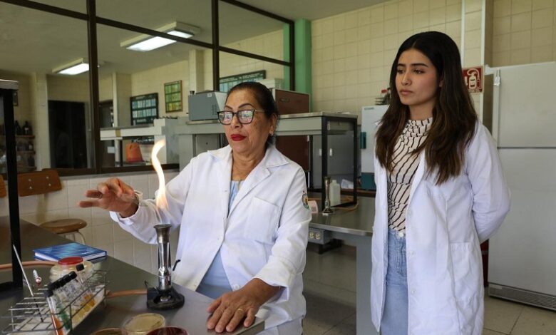 UMSNH, Medicina Veterinaria