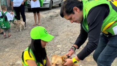 PVEM Michoacán, medio ambiente