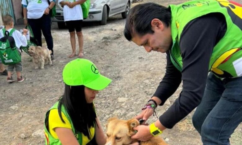 PVEM Michoacán, medio ambiente