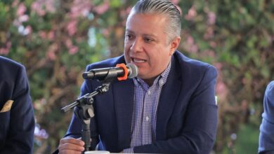 Luis Navarro, UMSNH