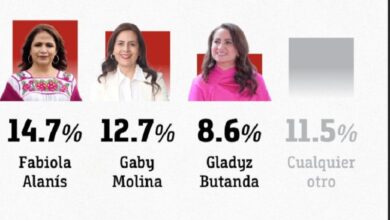 Fabiola Alanís, Morena, CE Research
