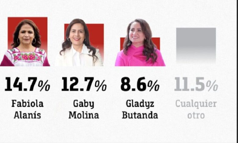 Fabiola Alanís, Morena, CE Research