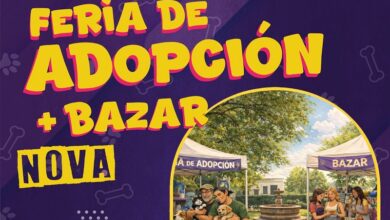 Bienestar animal, Morelia, Feria de adopción