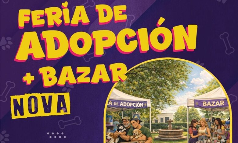 Bienestar animal, Morelia, Feria de adopción
