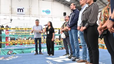 Boxeo, Imcufide