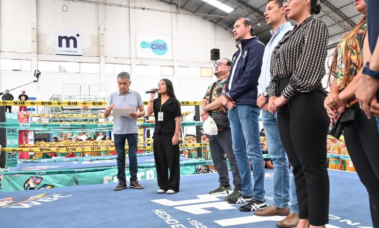 Boxeo, Imcufide