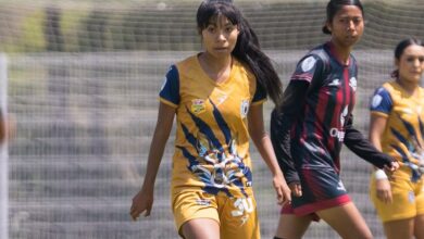 UMSNH, Liga TDP Femenil