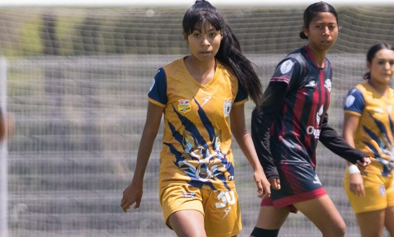 UMSNH, Liga TDP Femenil