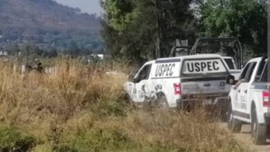 SSP, FGE, Partes humanas