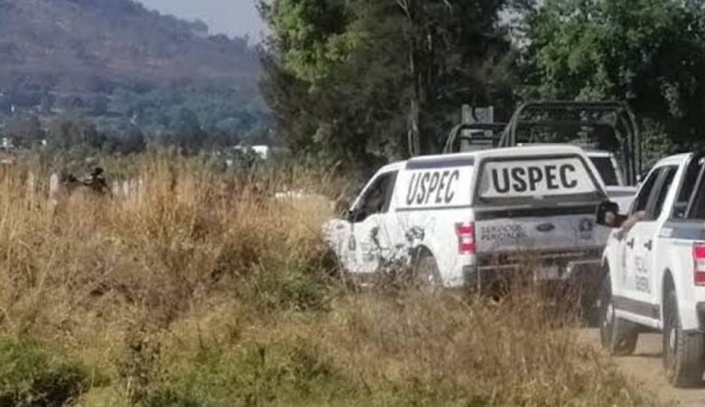 SSP, FGE, Partes humanas